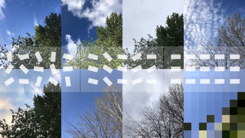Eight photos of the same tree taken at different times of the year, displayed in a grid. The final photo is highly pixelated. Groups of white blocks run across the grid from left to right, gradually becoming aligned.