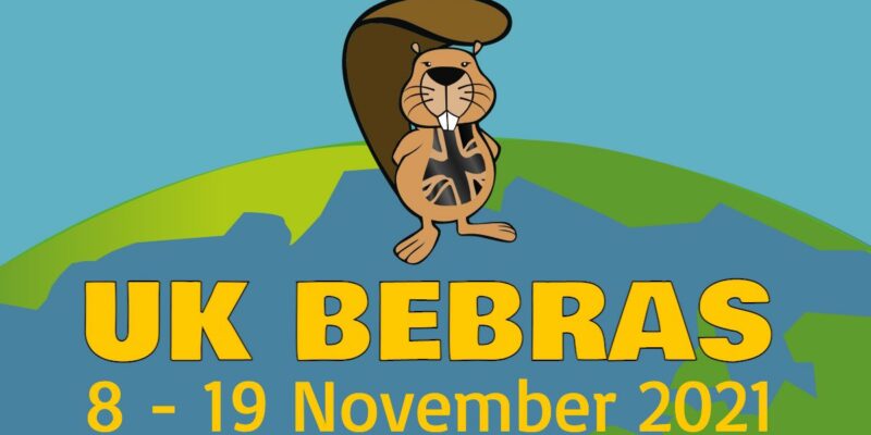 The UK Bebras Challenge 2021 runs from 8 to 19 November.